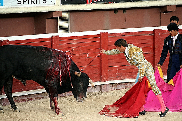 Toreador_Bullfight_Plaza_de_Toros_Mexico